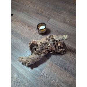 Driftwood So Cal CA Beach Ocean Wood Sculpture Art Crafts Garden Decor